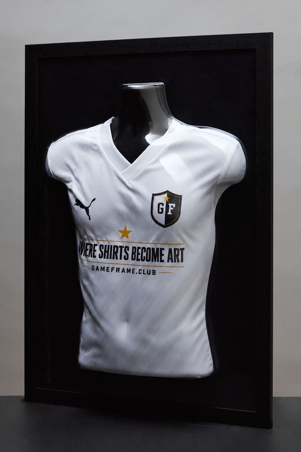 GameFrame® - Front Display